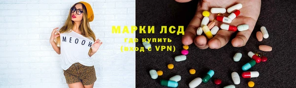 ПСИЛОЦИБИНОВЫЕ ГРИБЫ Гвардейск
