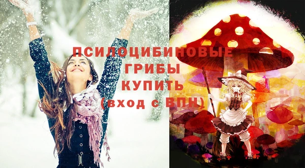 сатива Абдулино